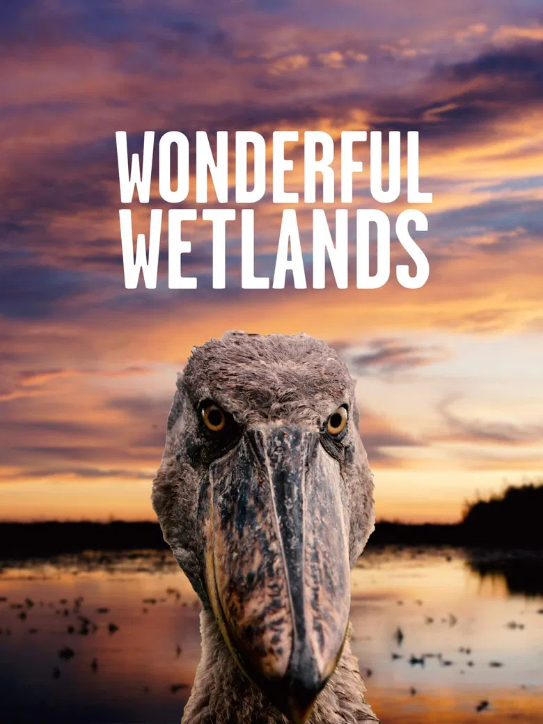 Wonderful Wetlands poster background