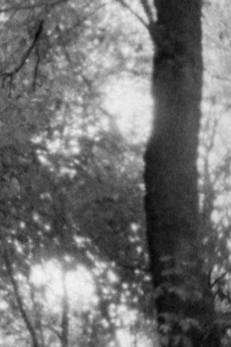 Untitled 1 poster background