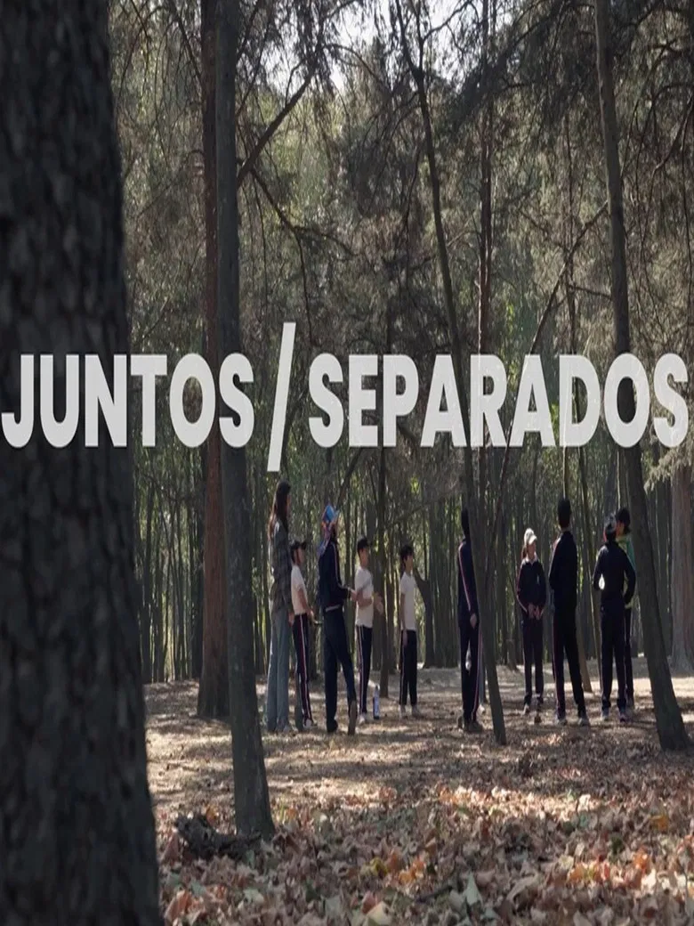 Together / Apart poster background