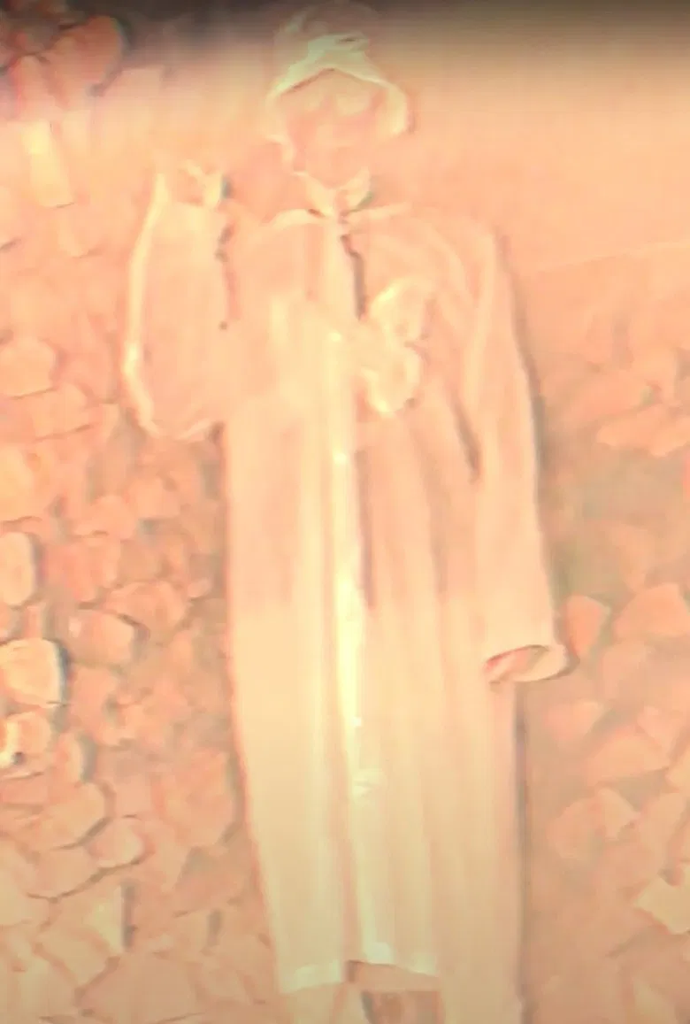 Summer Killer poster background