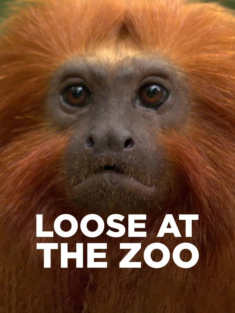 Loose at the Zoo poster background