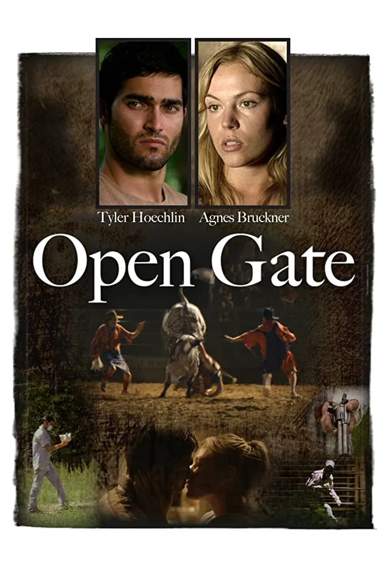 Open Gate poster background