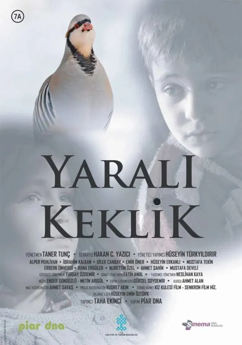 Yaralı Keklik poster background