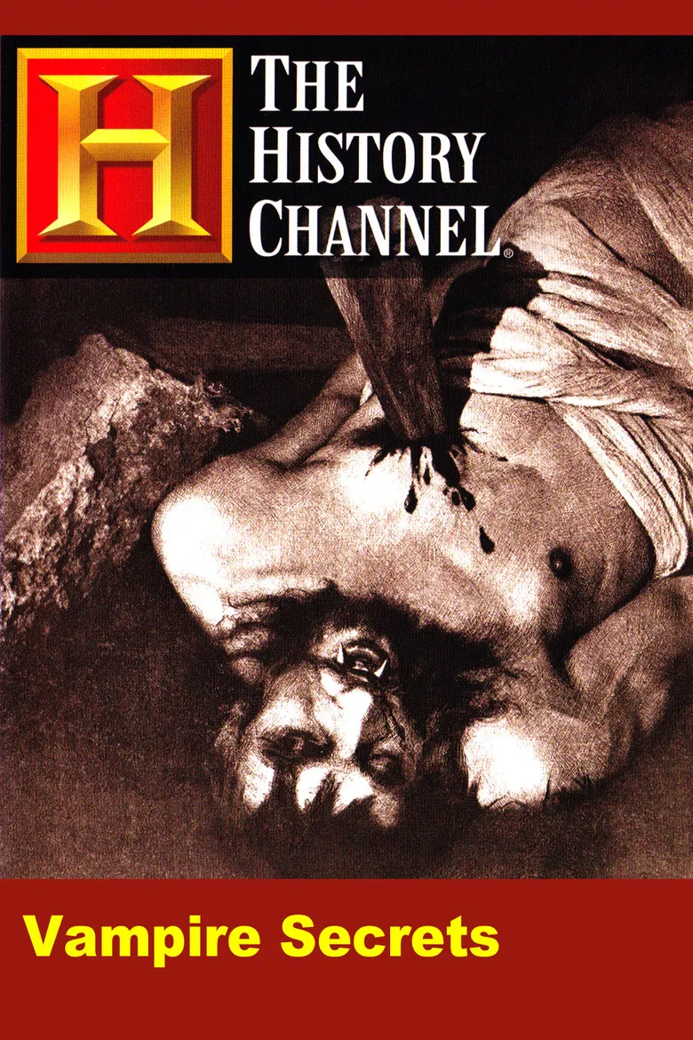 Vampire Secrets poster background