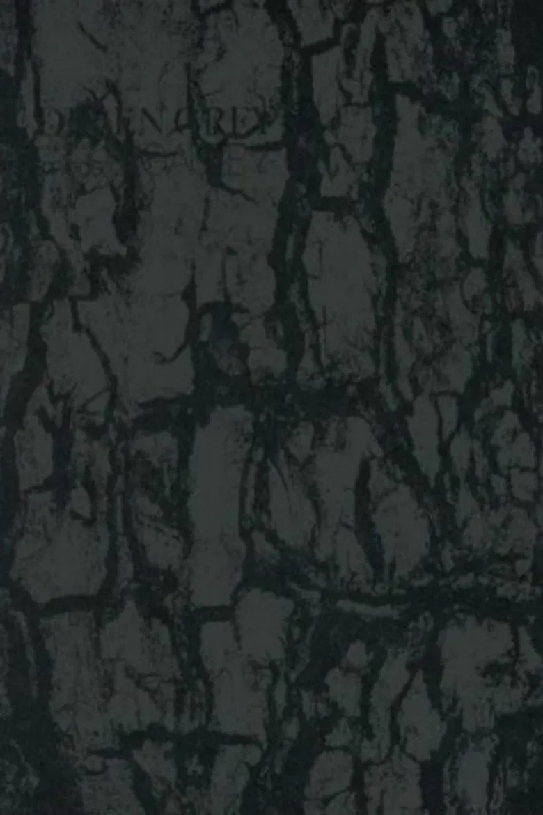 Dir En Grey - Tour 14 Psychonnect - Mode Of "Gauze"? poster background