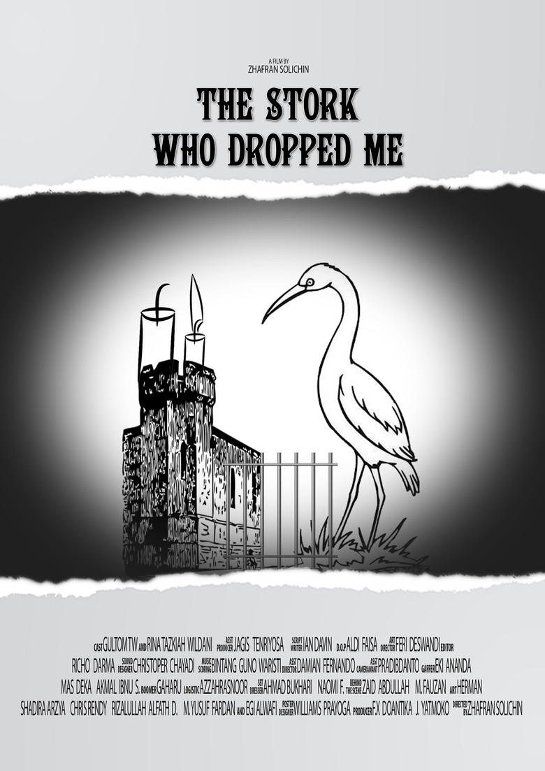 The Stork Who Dropped Me poster background