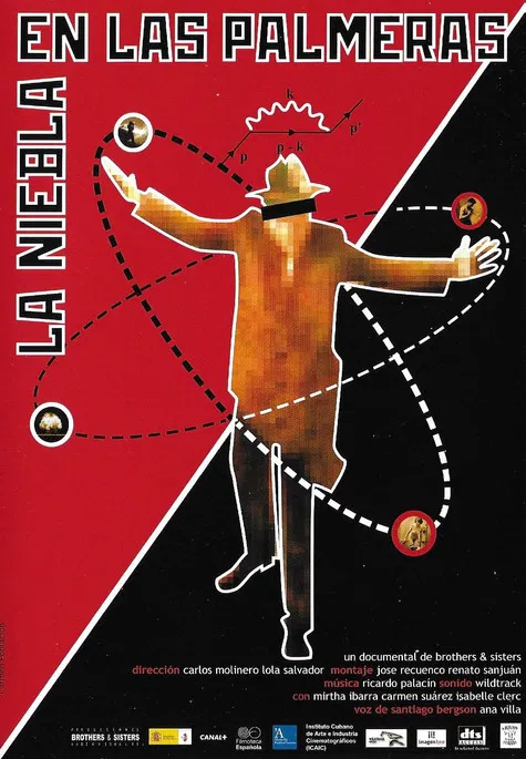 The Mist in the Palm Trees poster background