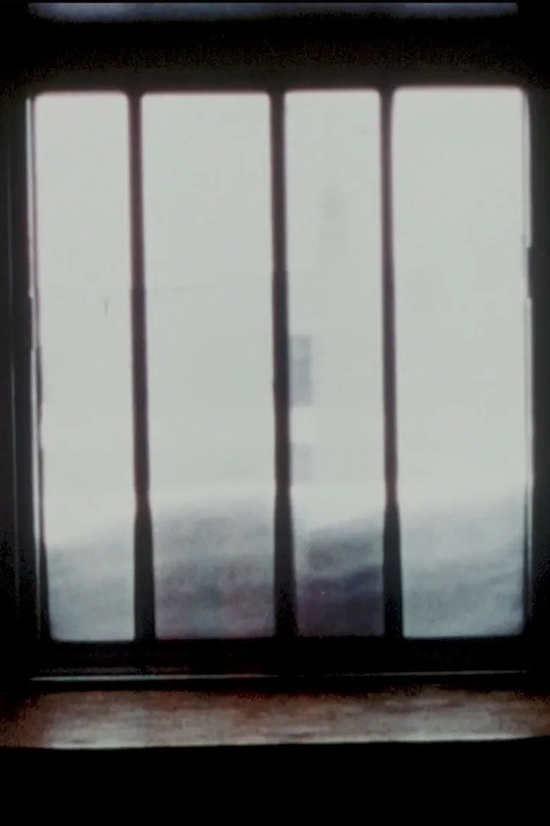 Fenêtres poster background