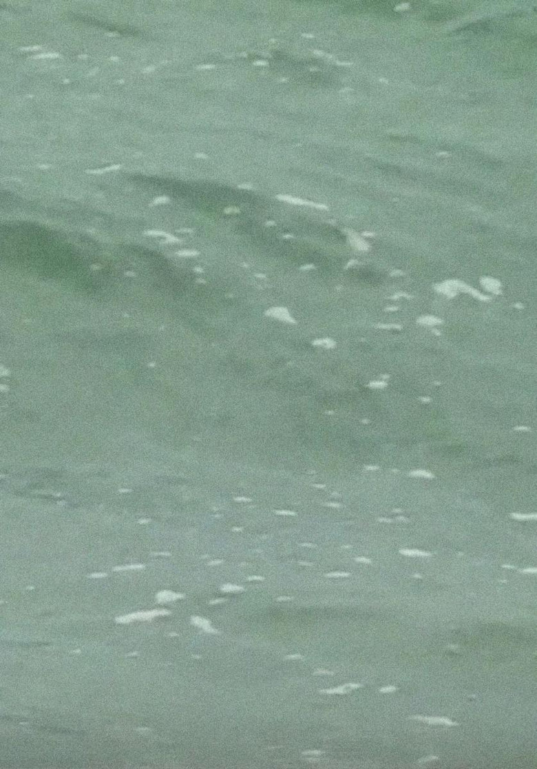 Cape Cod poster background