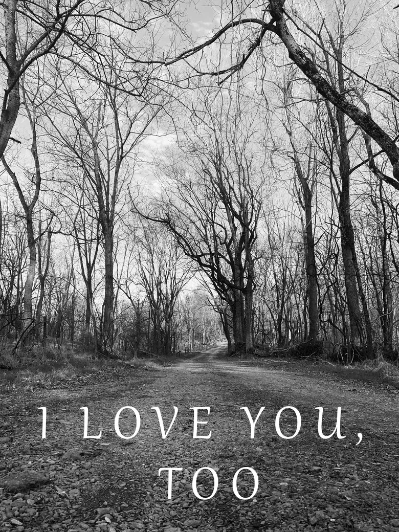 I Love You, Too poster background