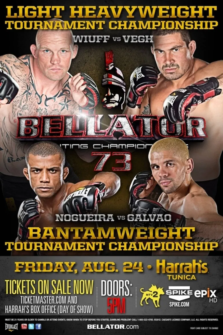 Bellator 73 poster background