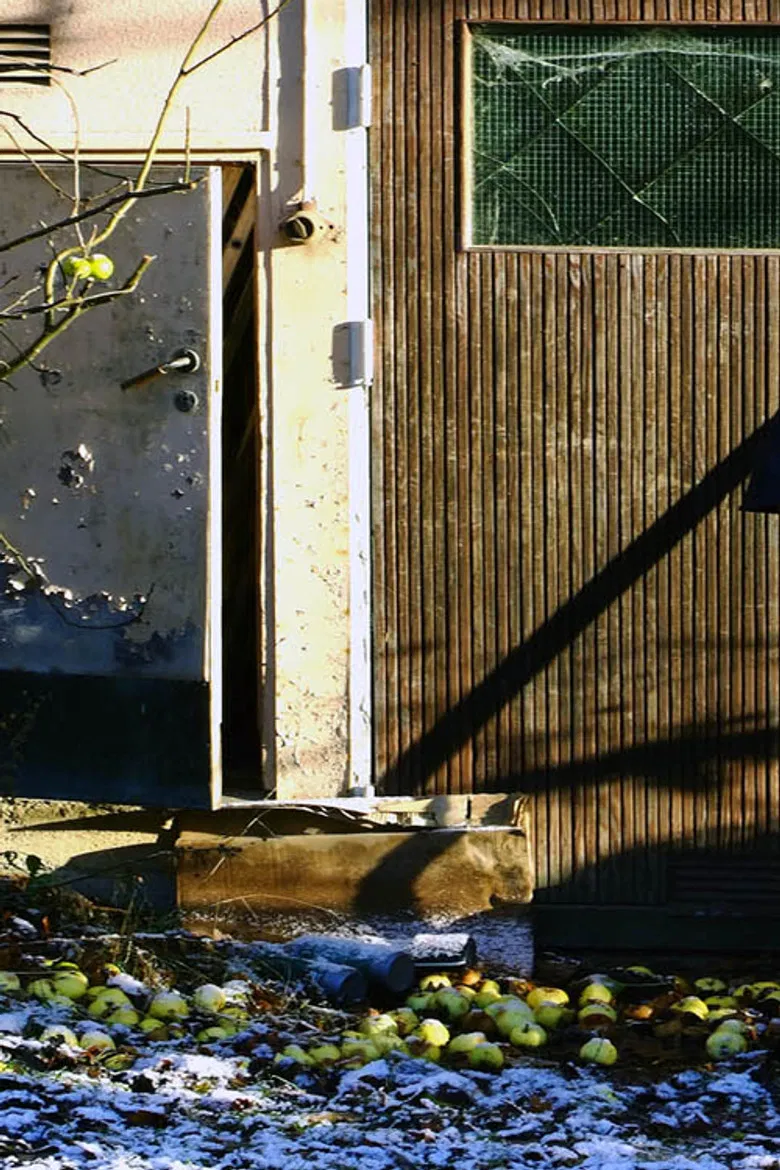 Dagerman: en garage musical poster background