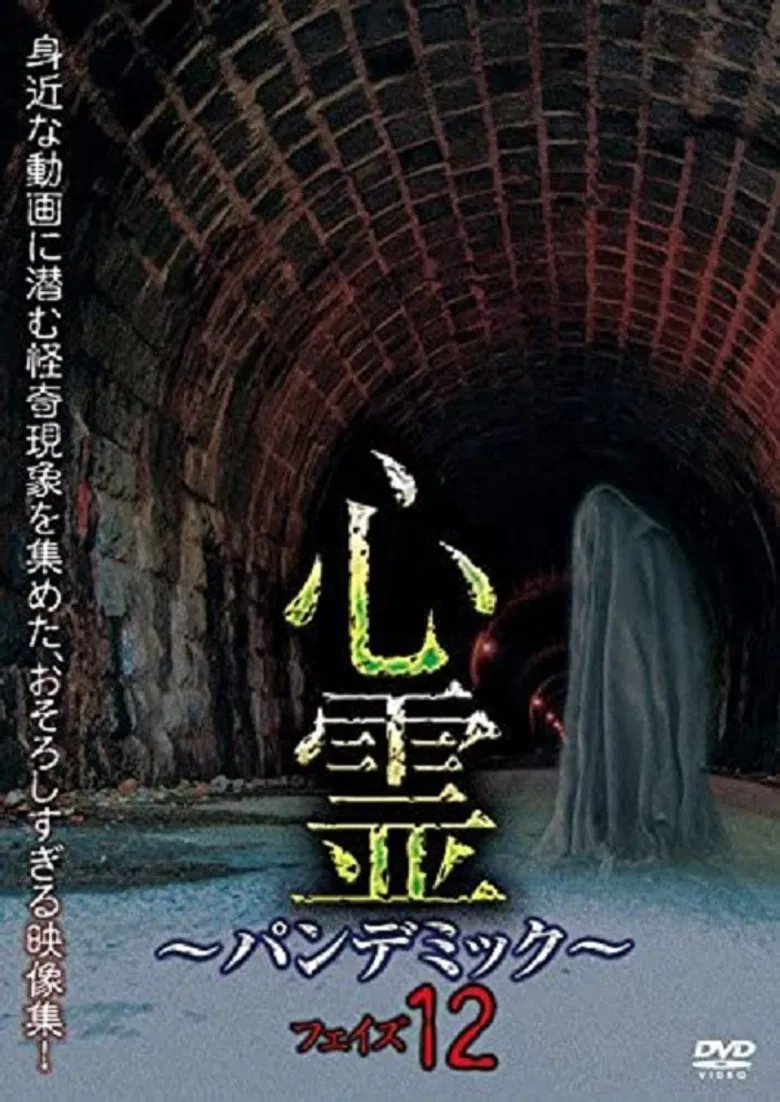 Spirit Pandemic Phase 12 poster background