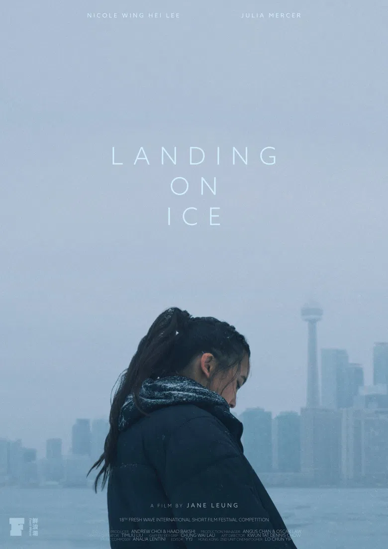 Landing On Ice poster background
