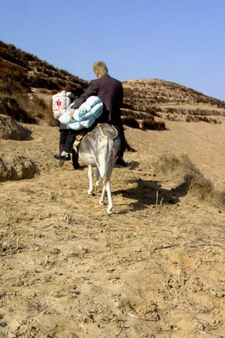 The Half Hitching Post poster background
