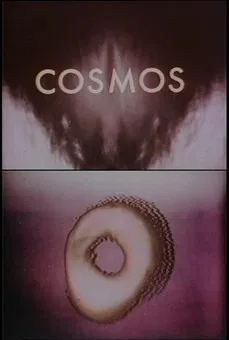 Cosmos poster background