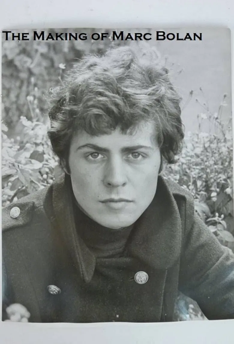 The Making of Marc Bolan poster background