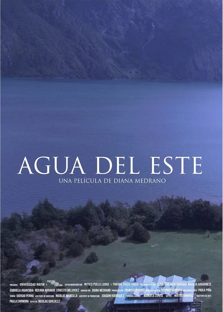 Agua del este poster background