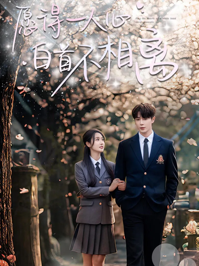 愿得一人心白首不相离 poster background