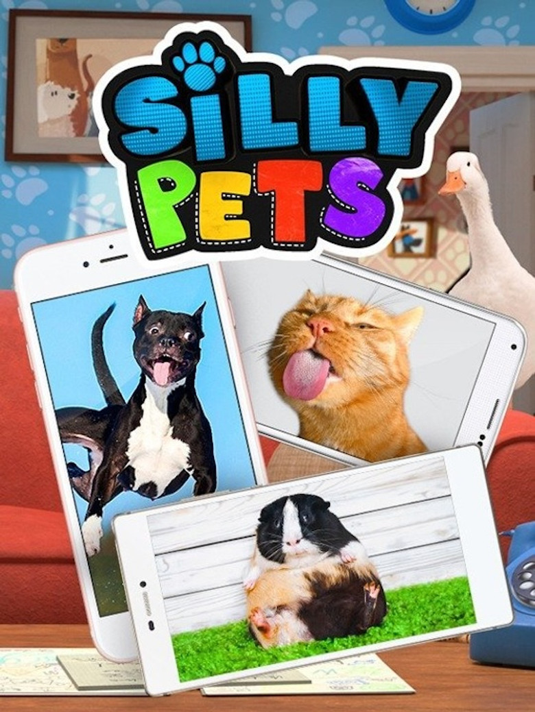 Silly Pets poster background