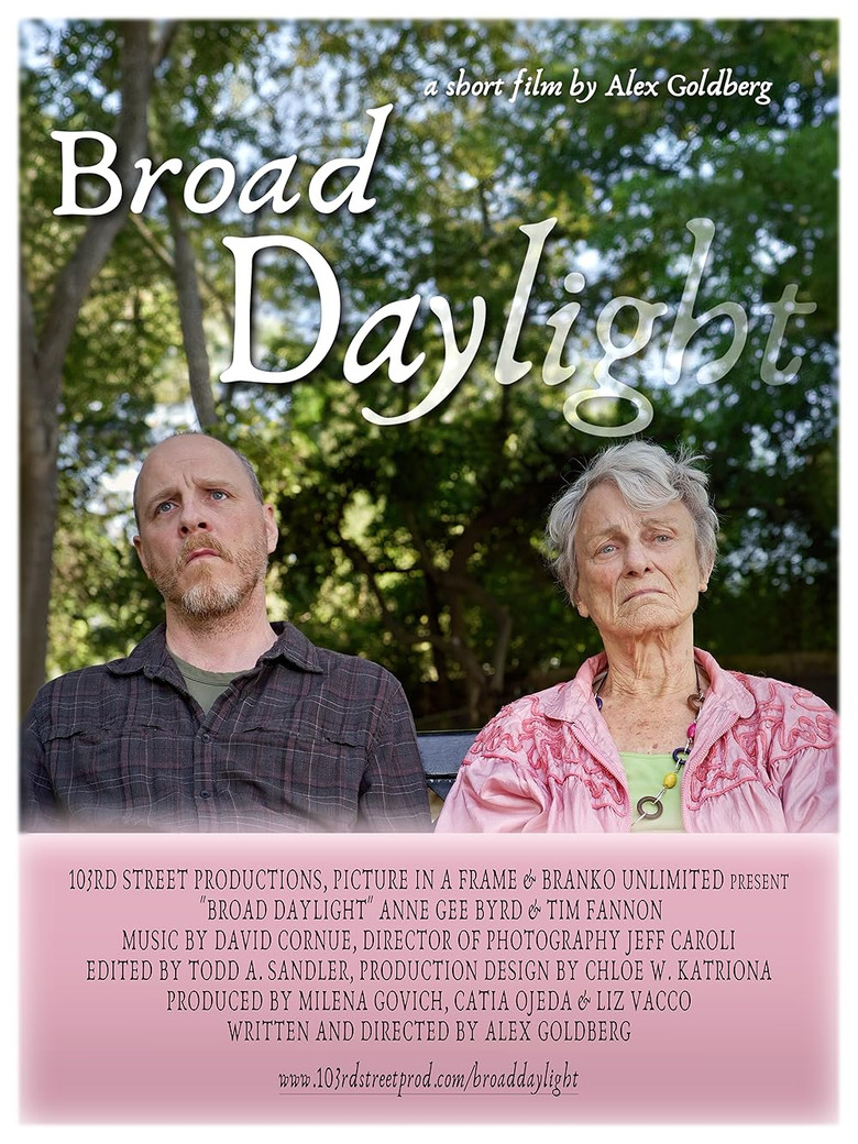Broad Daylight poster background