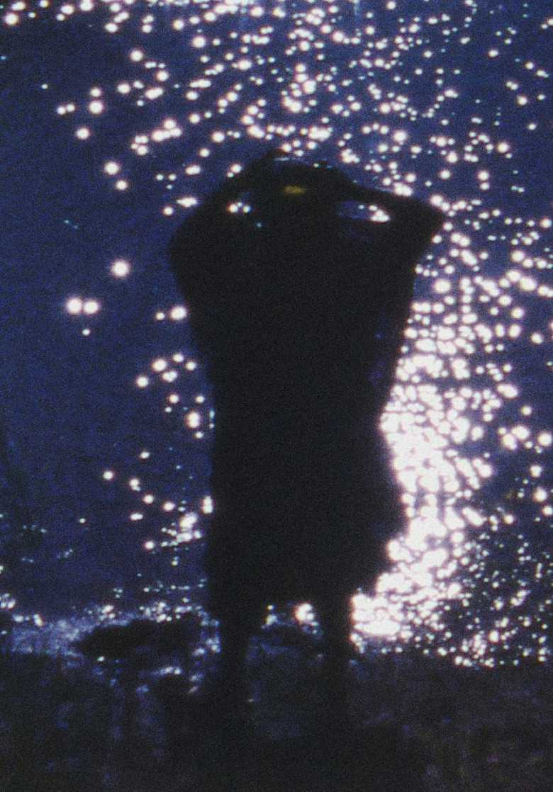 Woman with Flowers poster background