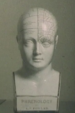 The Stolen Body poster background