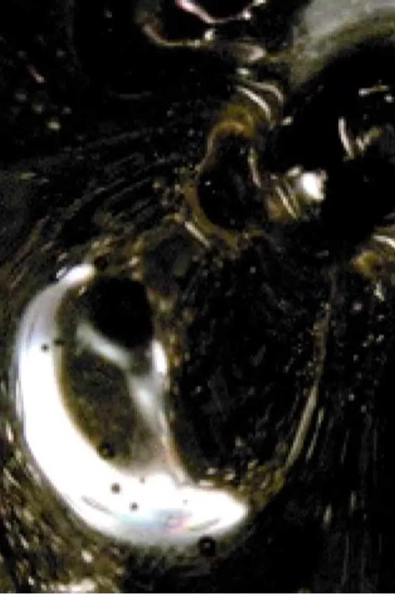 North Shore poster background