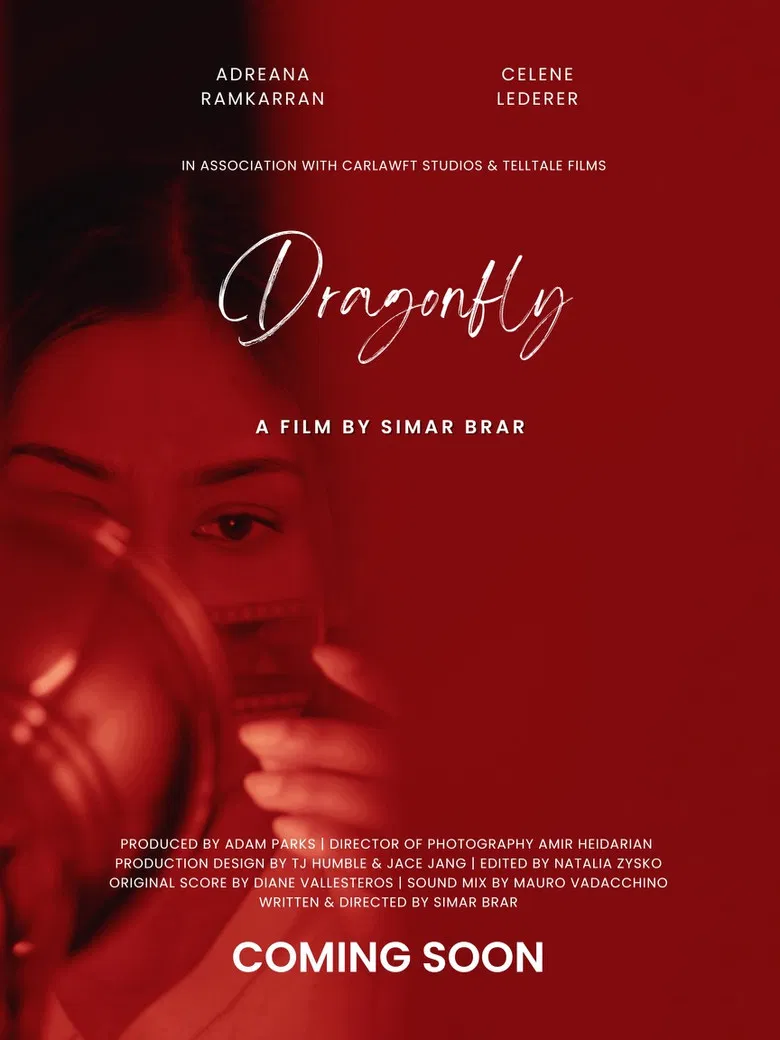 Dragonfly poster background