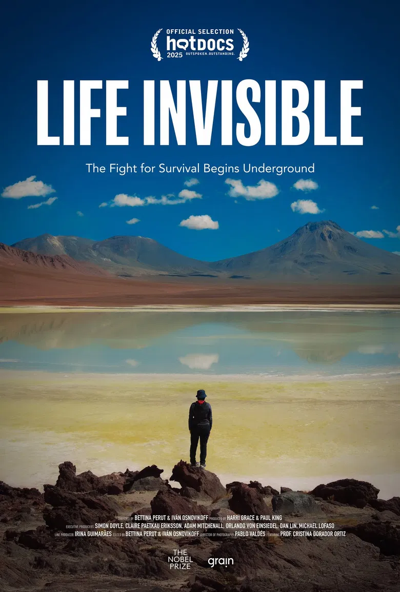 Life Invisible poster background