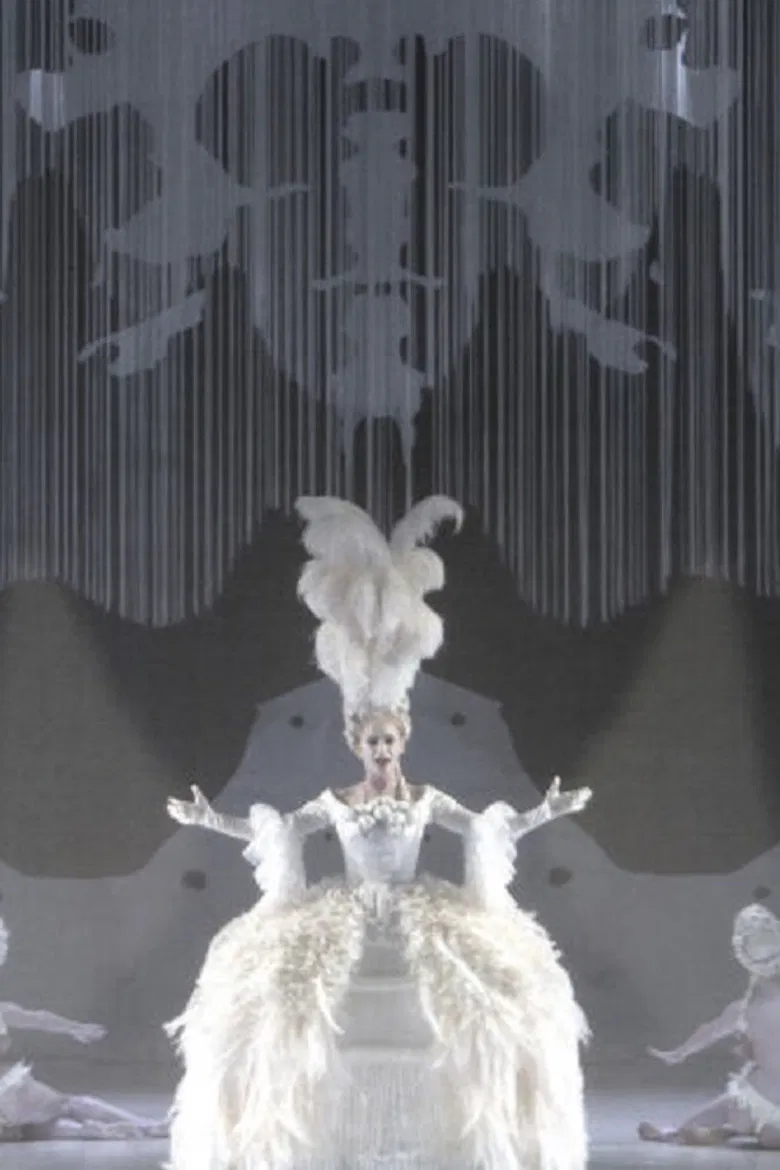 The Magic Flute poster background