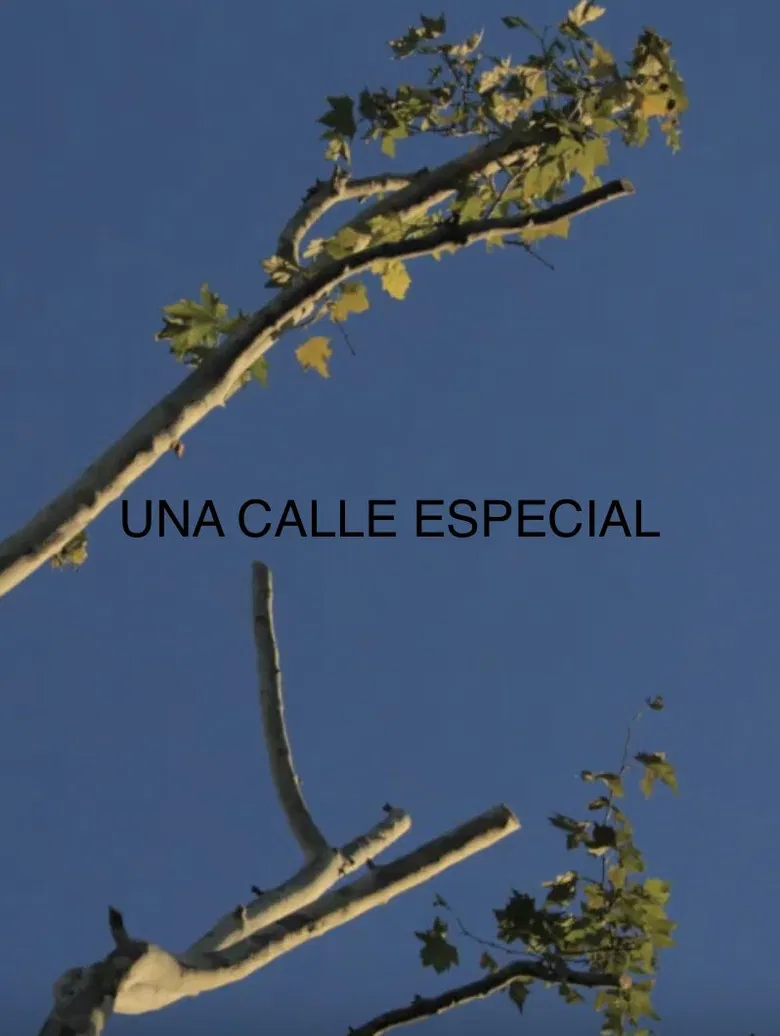 Una Calle Especial poster background