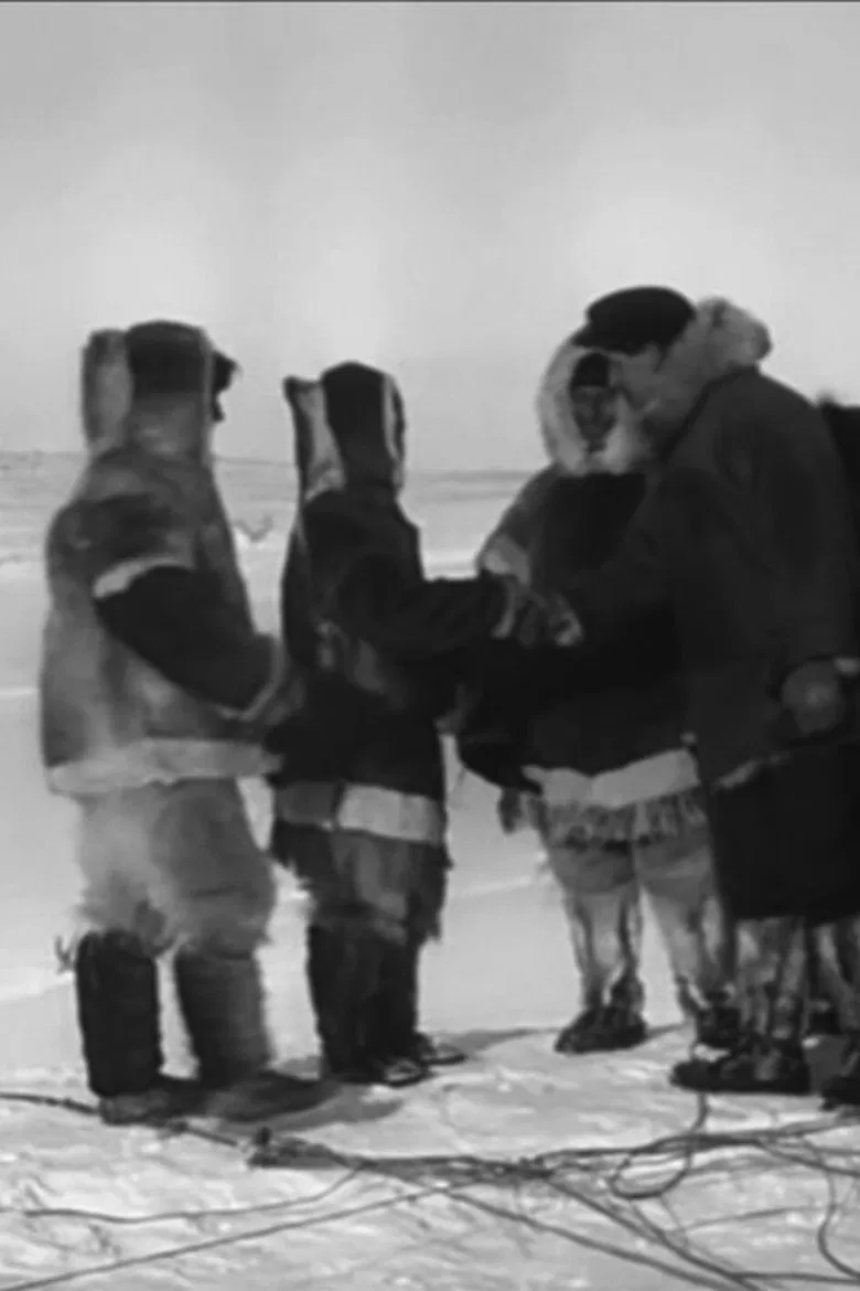 With Dog Sled Through Alaska poster background