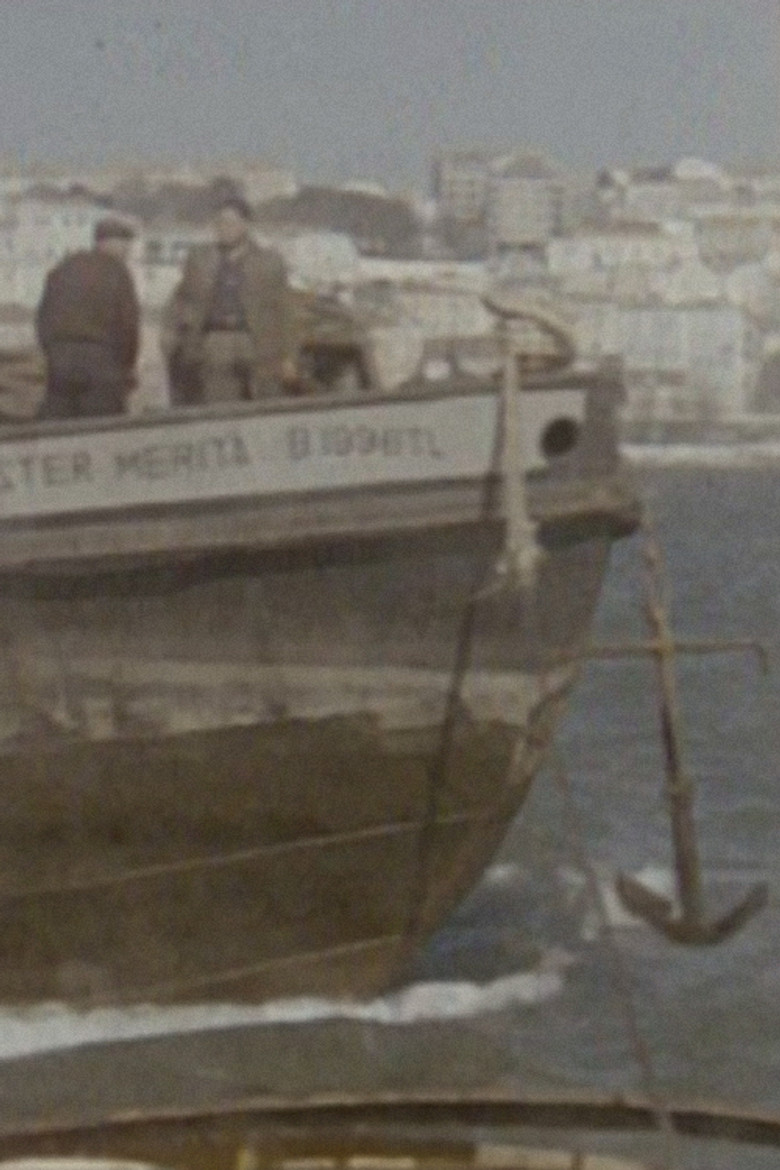 Tráfego e Estiva poster background