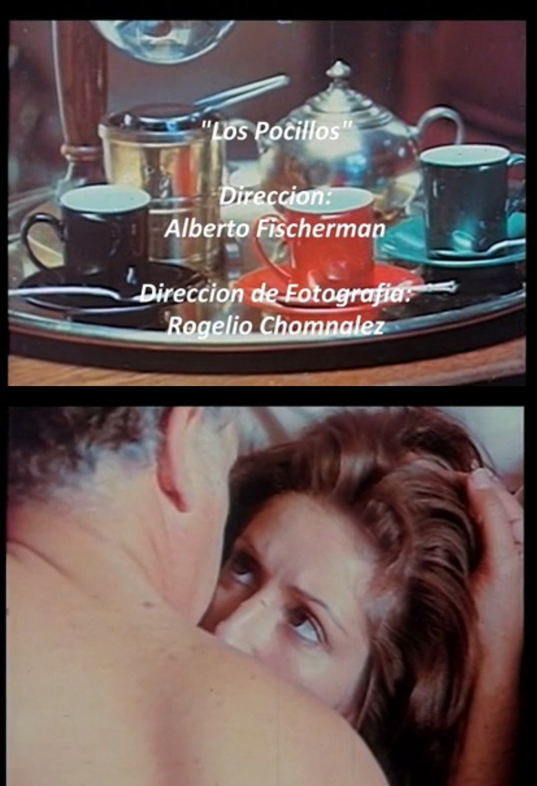 Los pocillos poster background