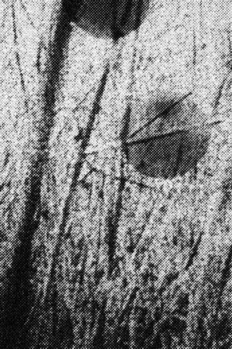 Across the Field poster background