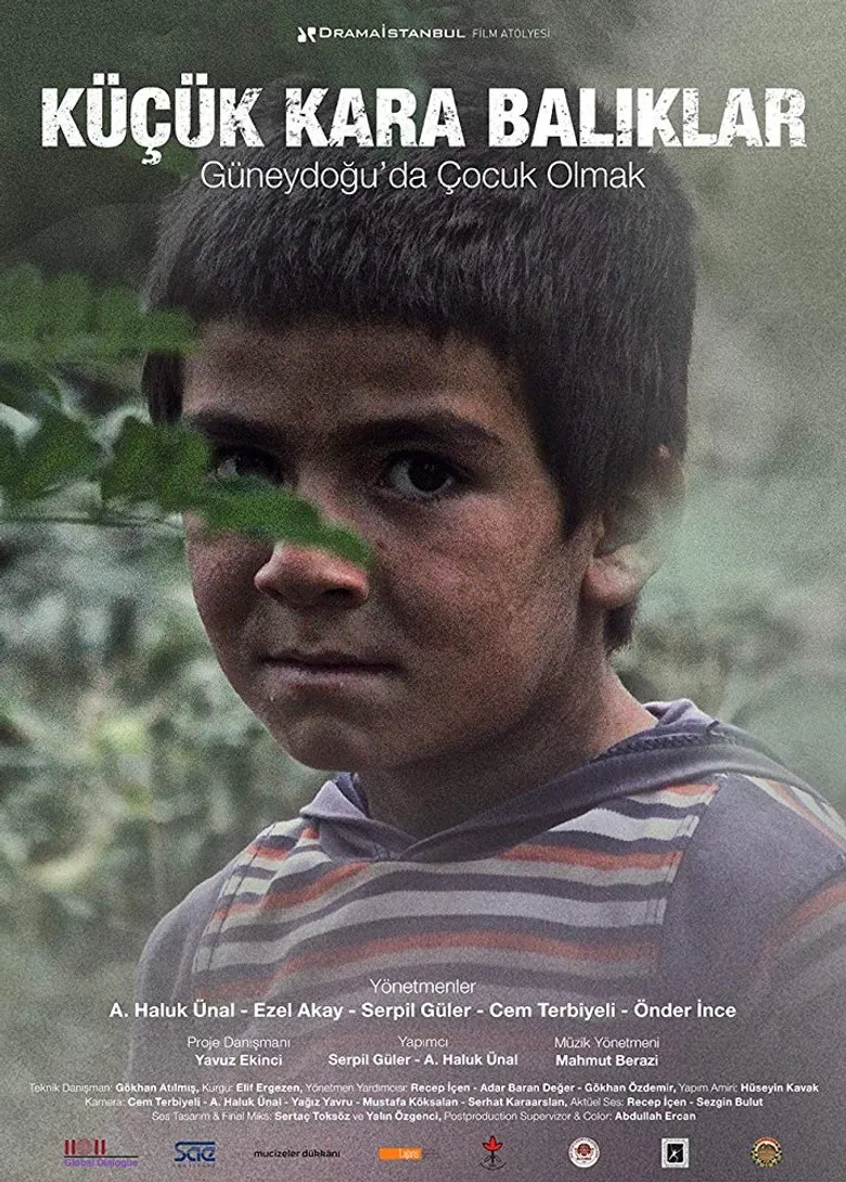 Little Black Fishes poster background