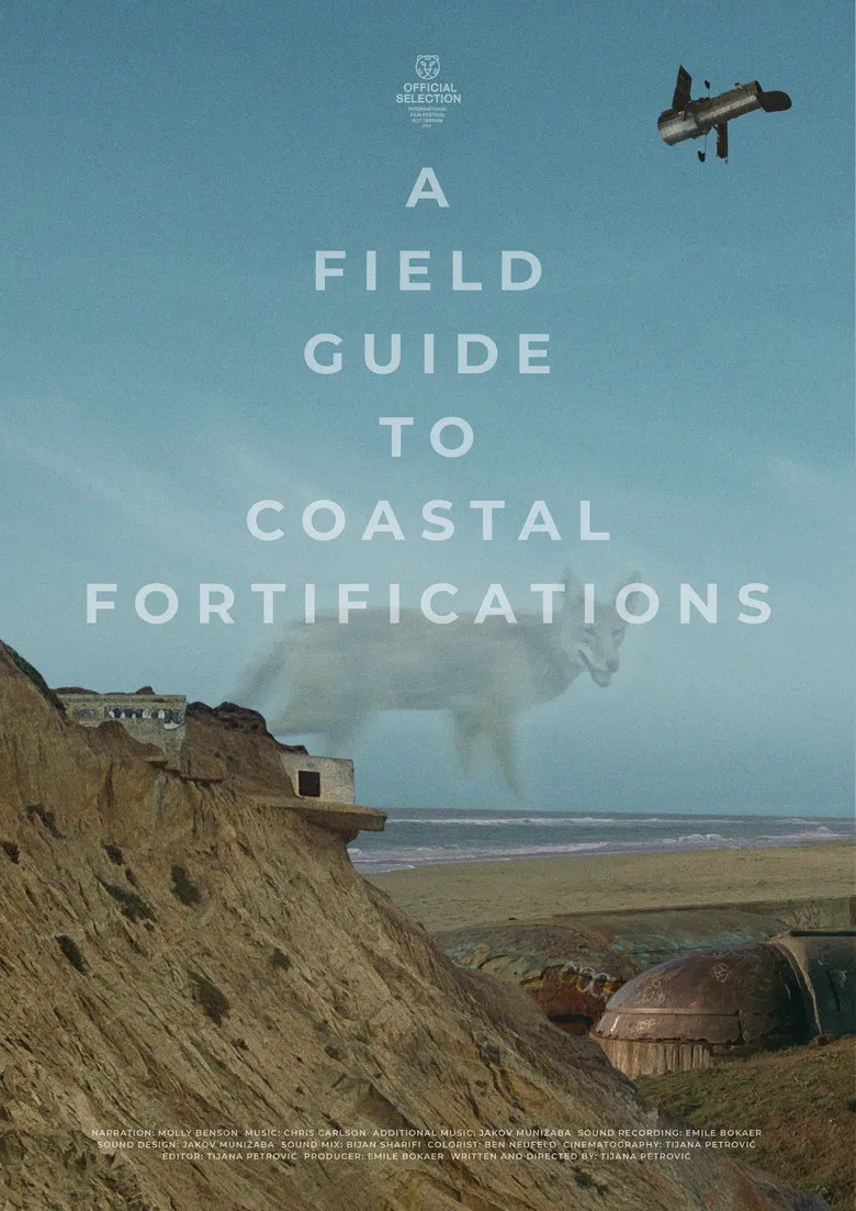 A Field Guide to Coastal Fortifications poster background