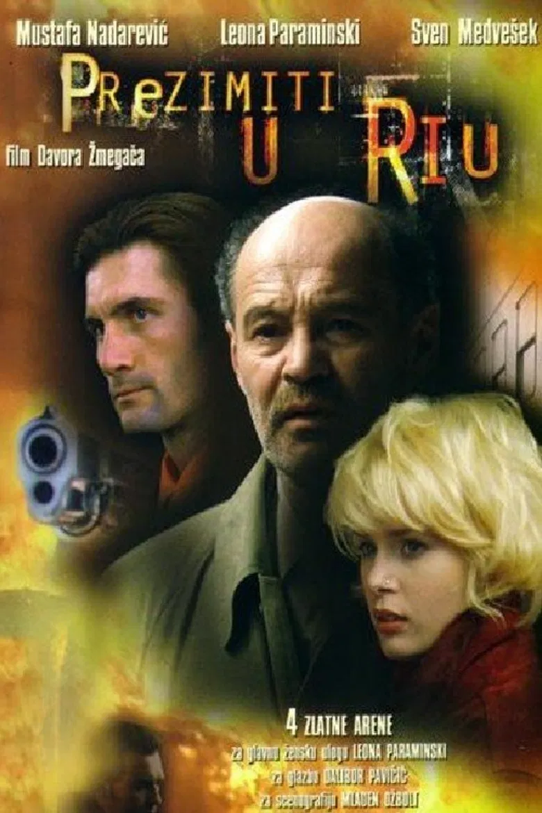 Winter in Rio poster background