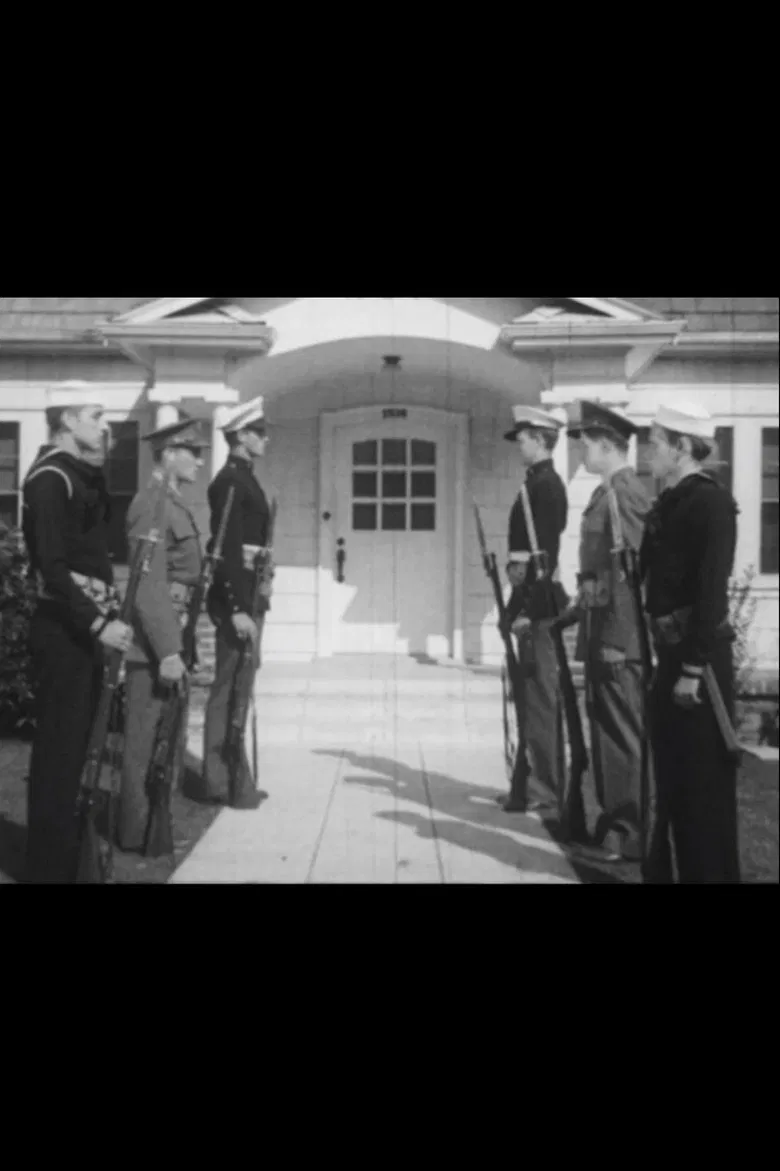 Sentinels of Safety poster background