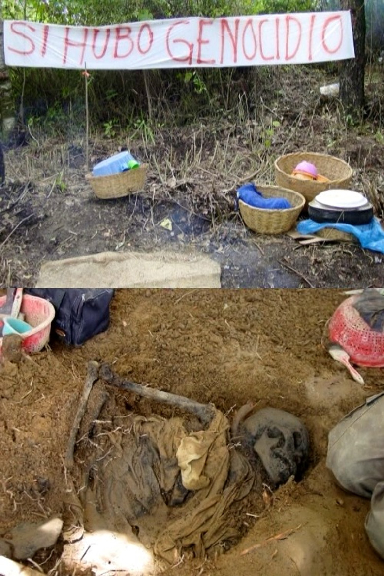 Yes, There Was a Genocide poster background