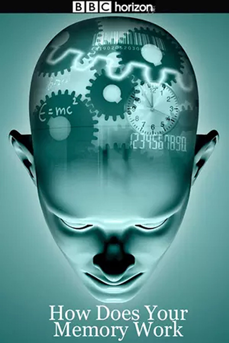 How Does Your Memory Work poster background