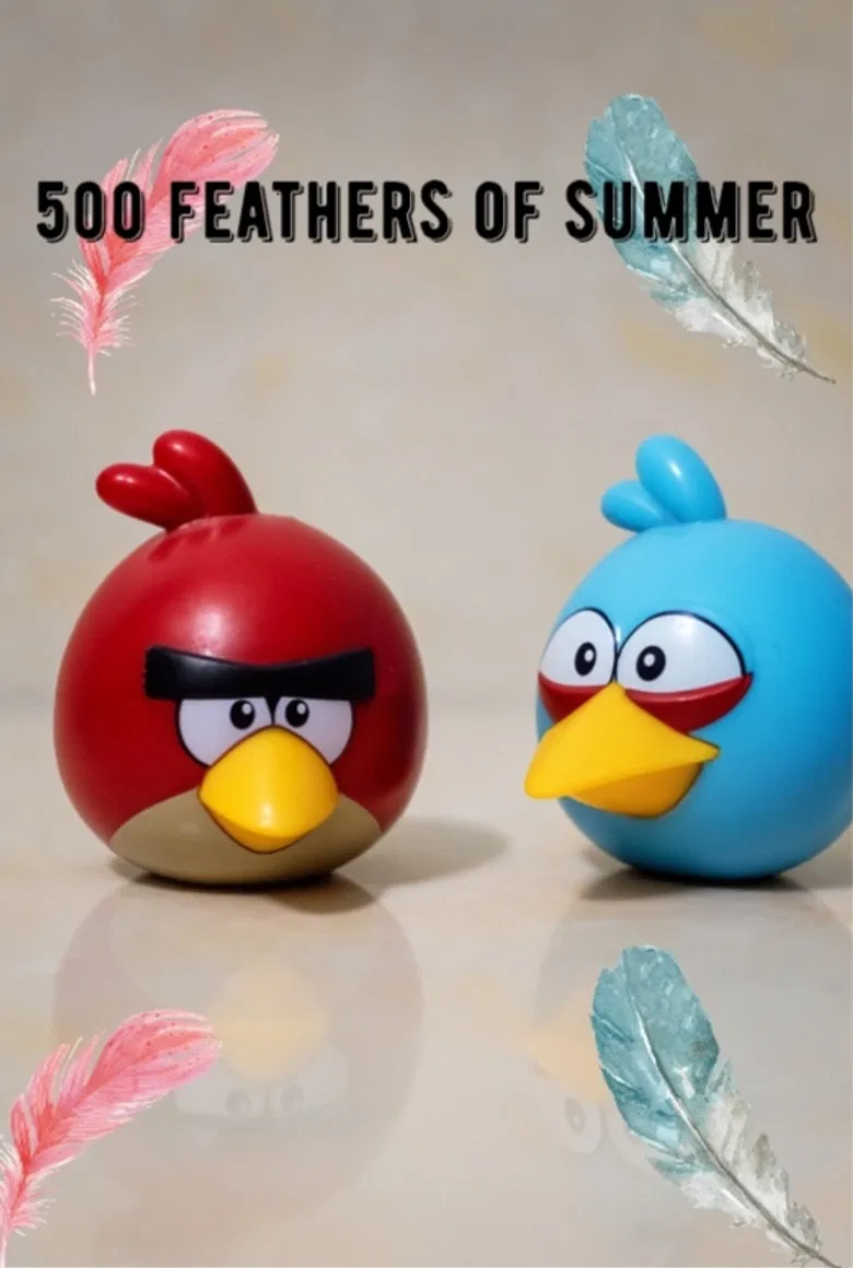 500 Feathers of Summer poster background