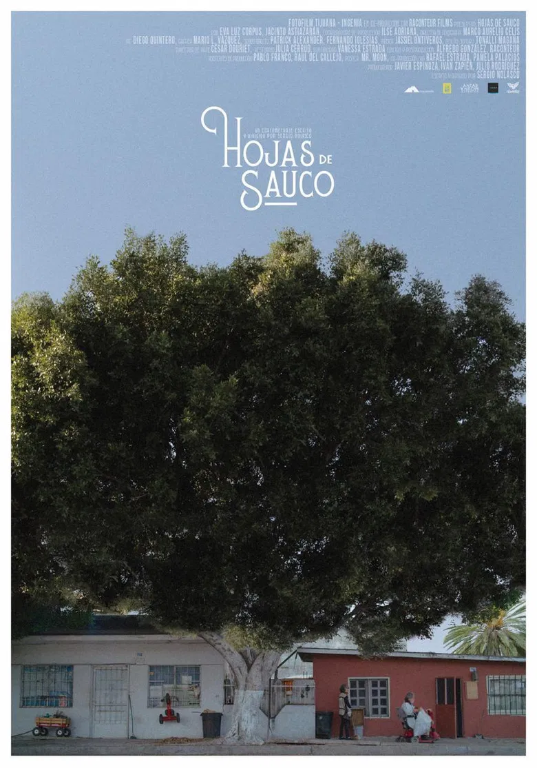 Hojas de Sauco poster background