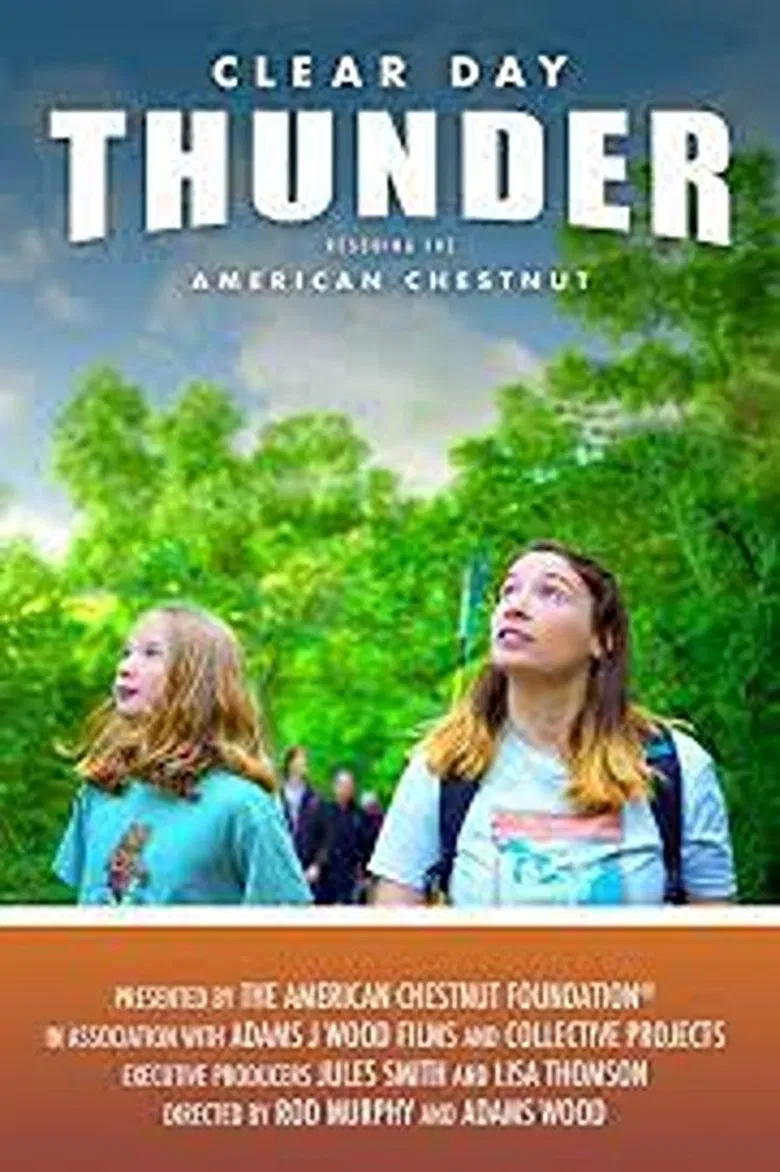 Clear Day Thunder: Rescuing the American Chestnut poster background