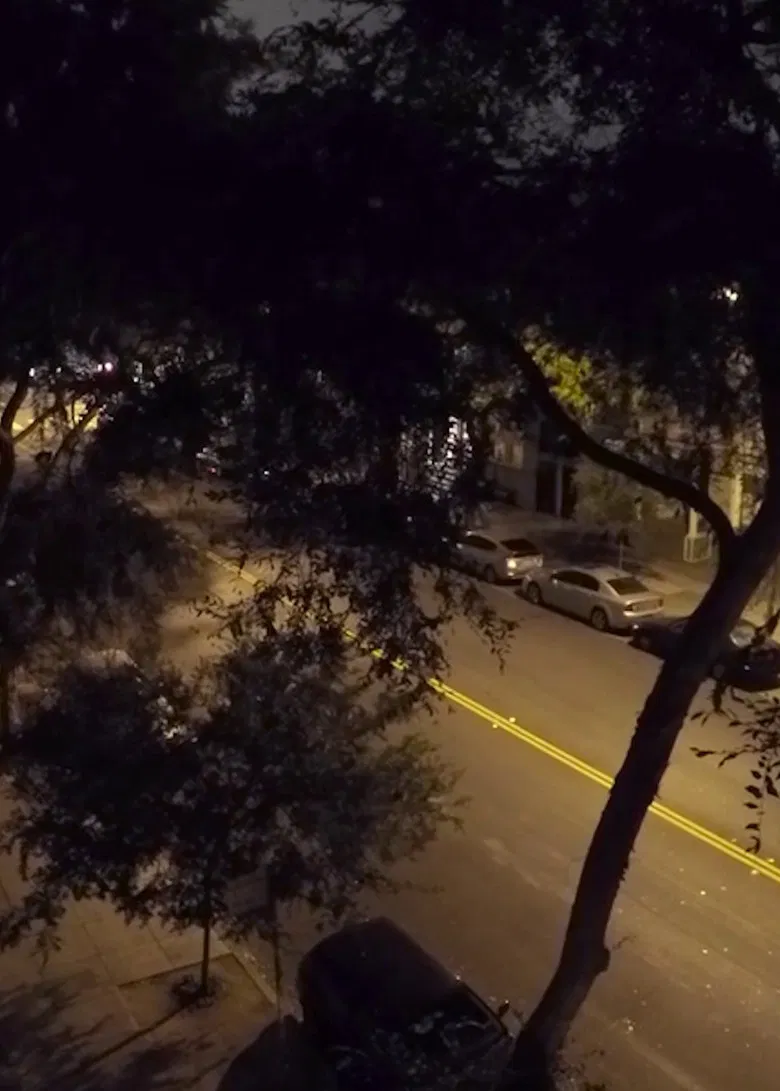 Folia poster background