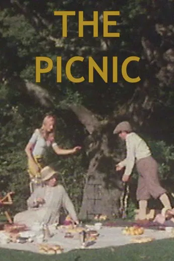 The Picnic poster background