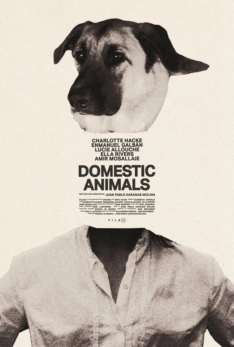 Domestic Animals poster background
