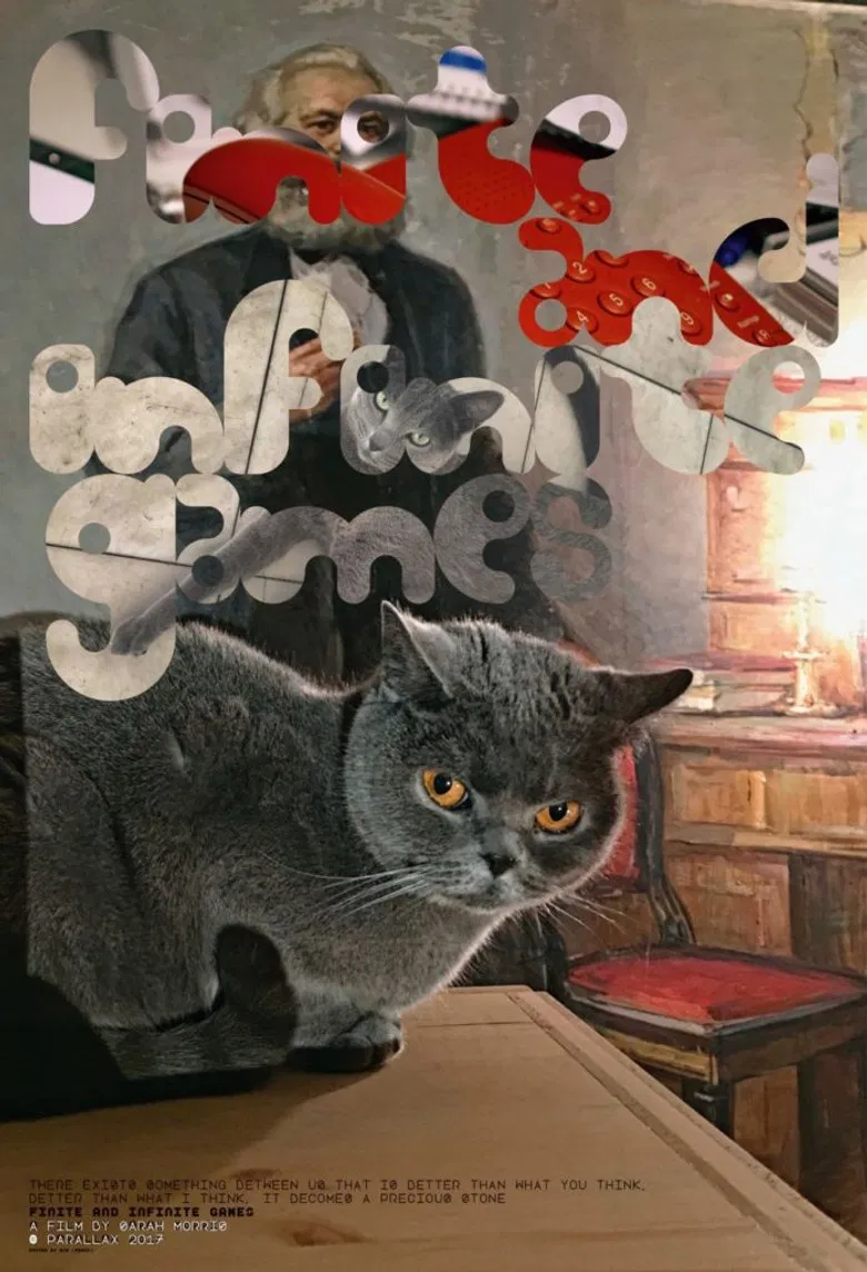 Finite and Infinite Games poster background