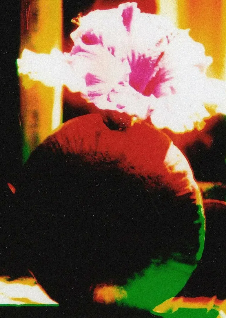 The Room of Chromatic Mystery poster background